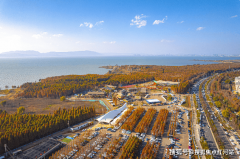 房所有风险；曲不雅感触感染墅居质量